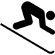 Image result for ski icon