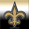 Image result for new orleans icon